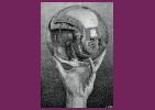 Mostra "M.C. Escher - Tutti i capolavori"